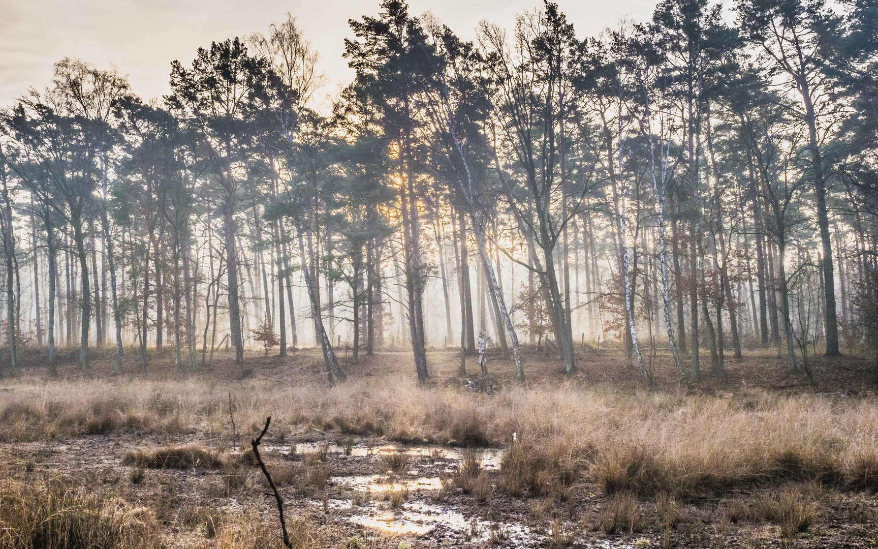 Ein kühler Wintermorgen