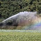 Ein künstlicher Regenbogen