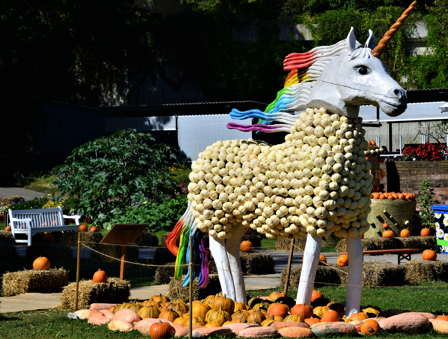 Ein  Kürbis - Einhorn 