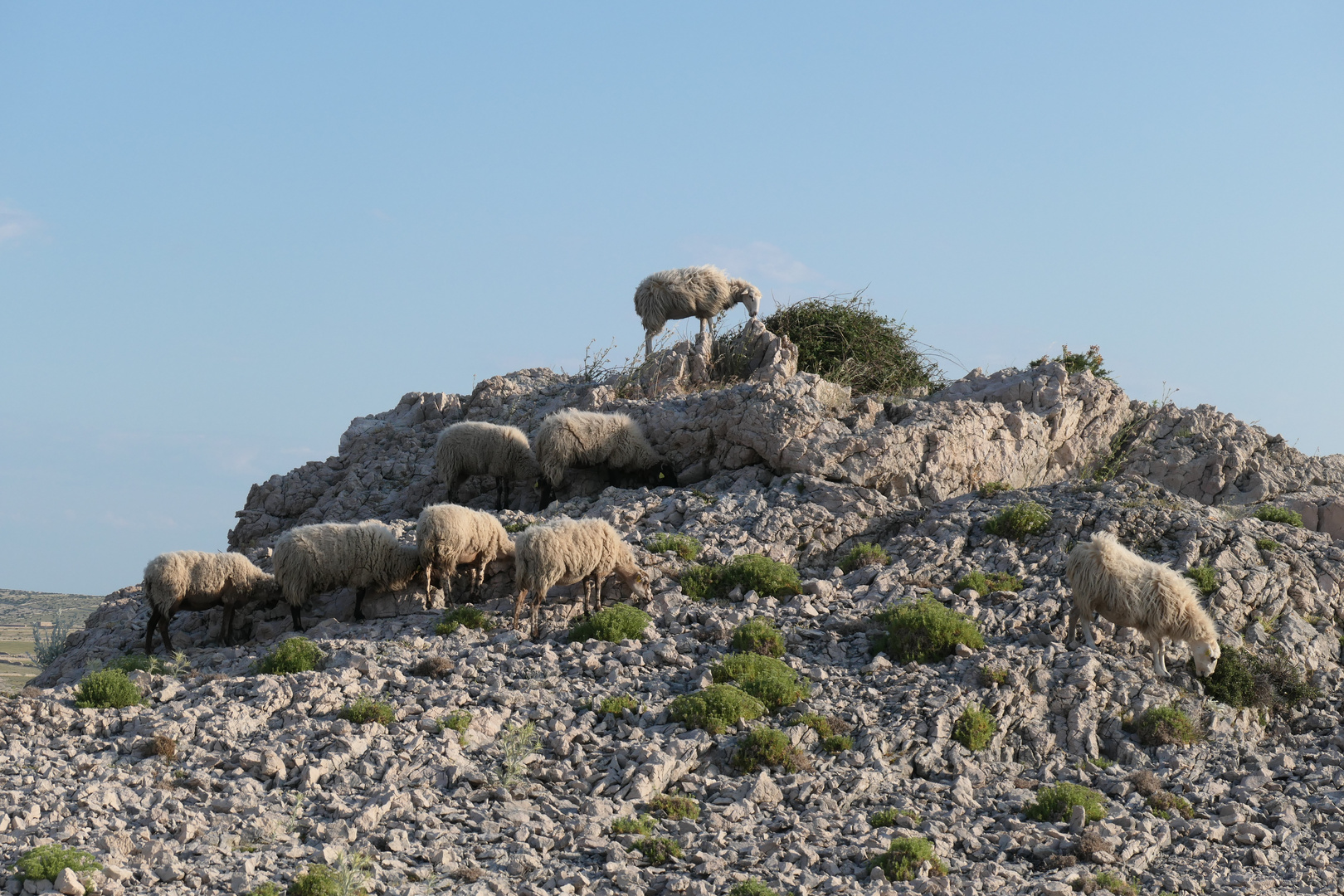 ein Küsschen auf die Felsspitze