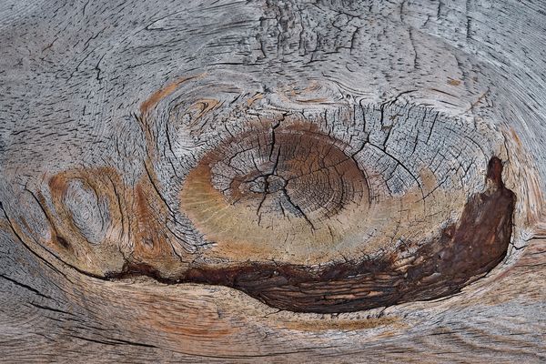 Ein Kunstwerk aus Holz, aber niemand schaut hin... (1) - Une oeuvre d'art sur un banc en bois.