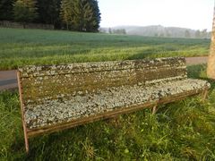 Ein Kunstwerk besonderer Art - Eine "Holzbank" nur für Flechten