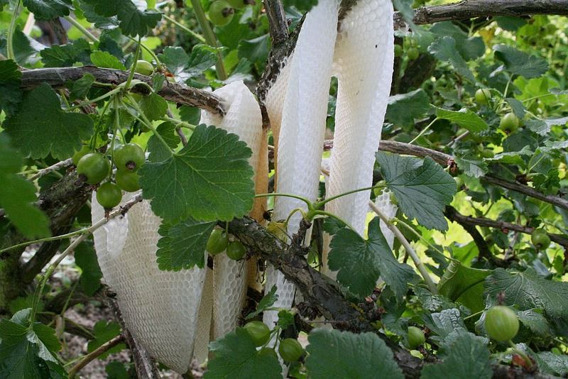 ein Kunstwerk wilder Bienen