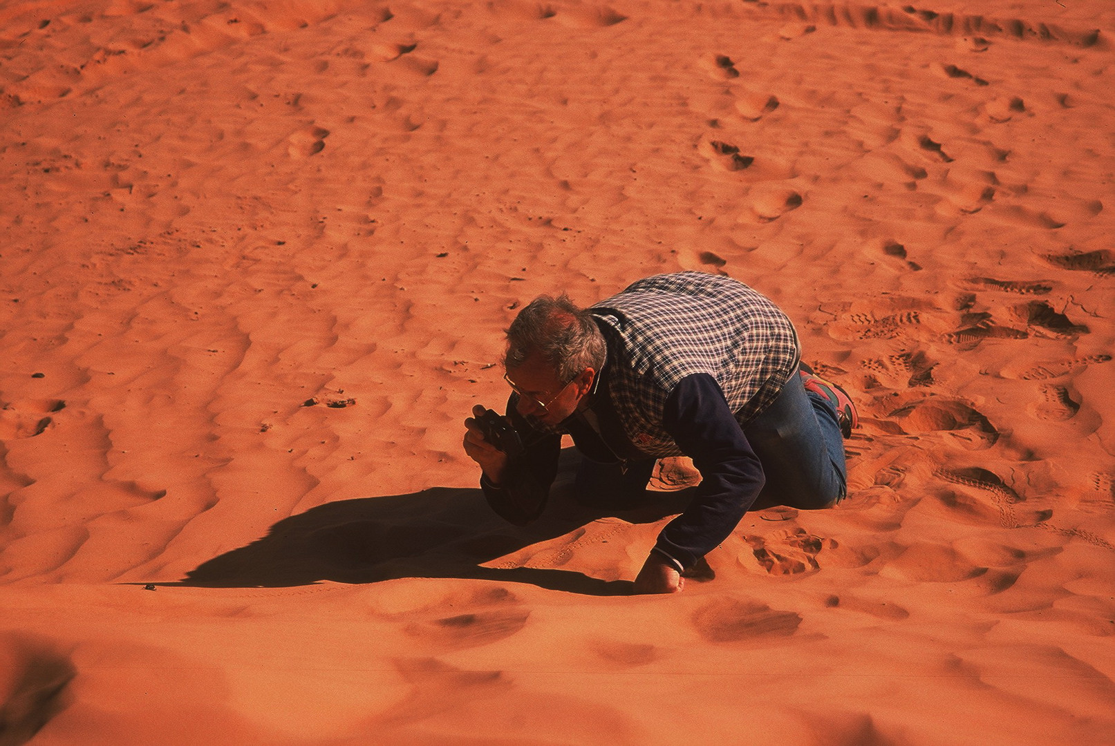 Ein kurioser aber lustiger Anblick im Sand der Sahara...