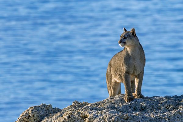 Ein kurzer Augenblick