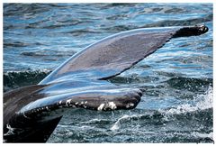 Ein kurzer Augenblick nur ...