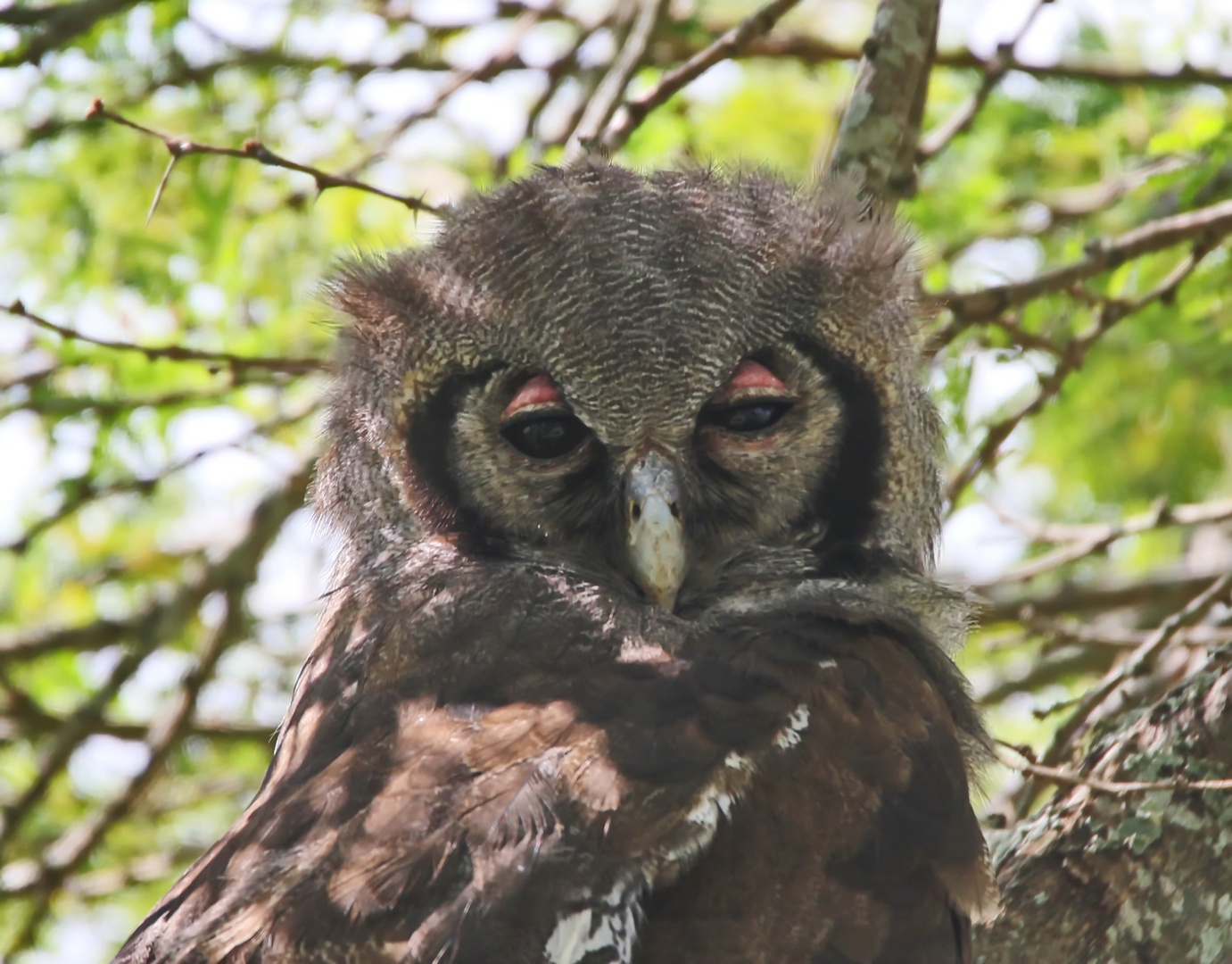 ein kurzer Blick