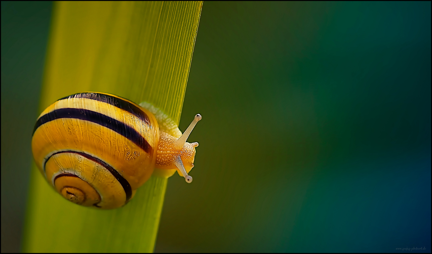 Ein kurzer Blick