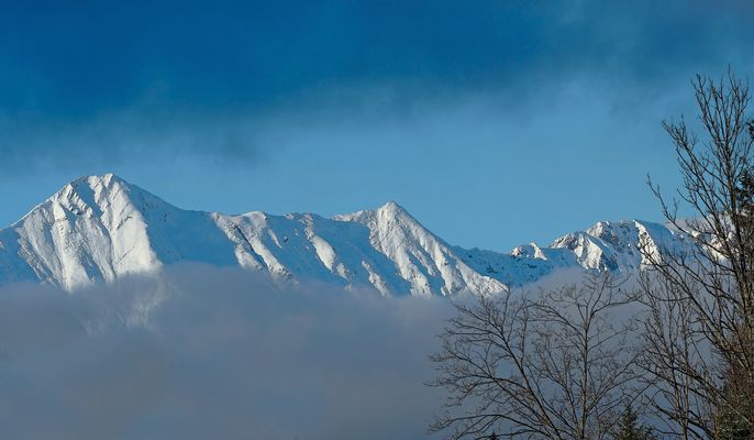 Ein kurzer Blick durch den Nebel ...