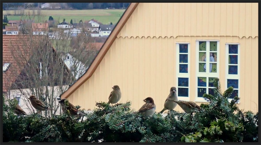 Ein kurzer Blick durch die Fensterscheibe...