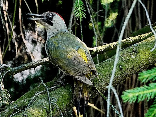 ein kurzer Blick nach oben