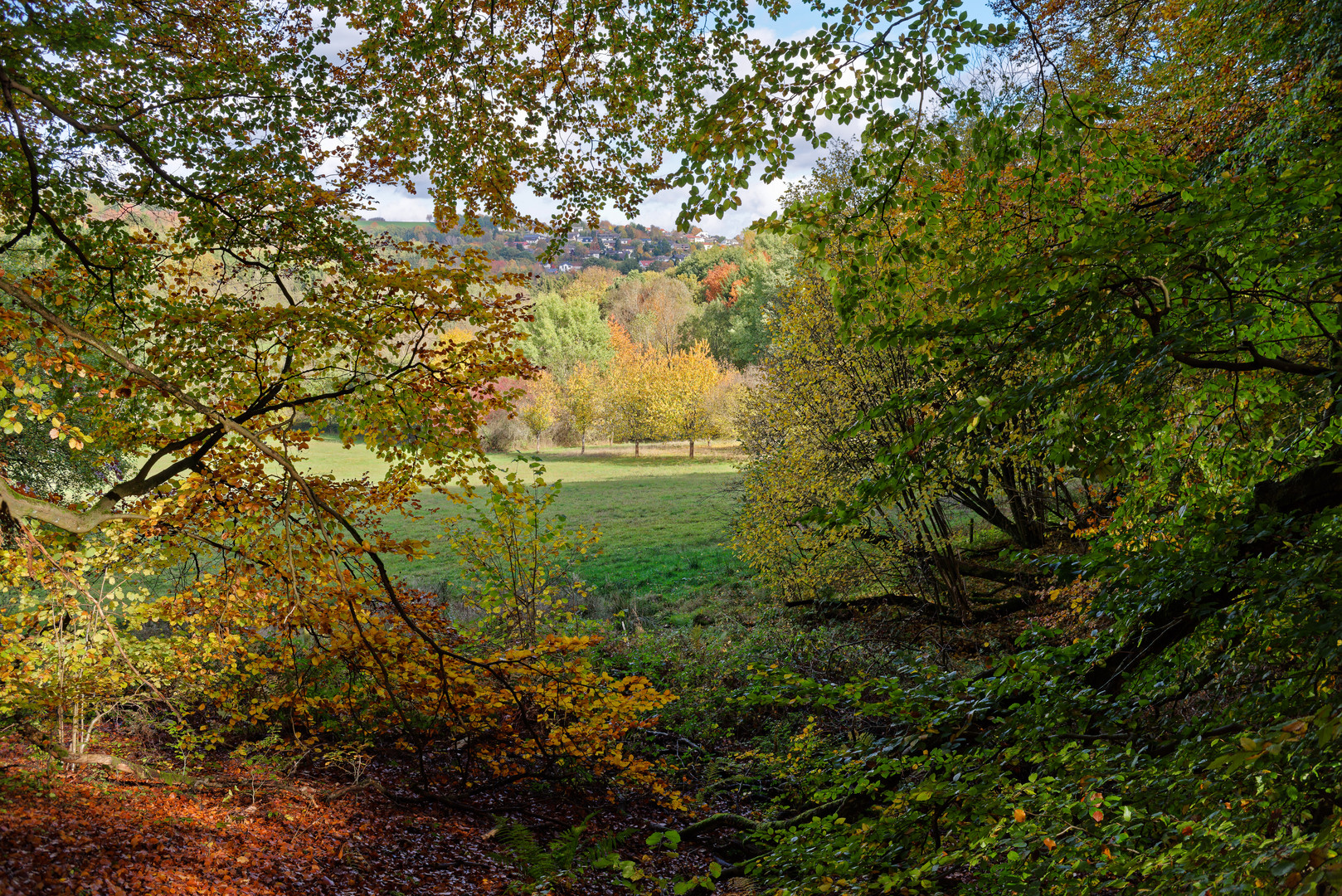 Ein kurzer Blick nach Ottweiler/Saar