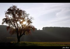 Ein kurzer Blick und dann einfach weitergelebt..