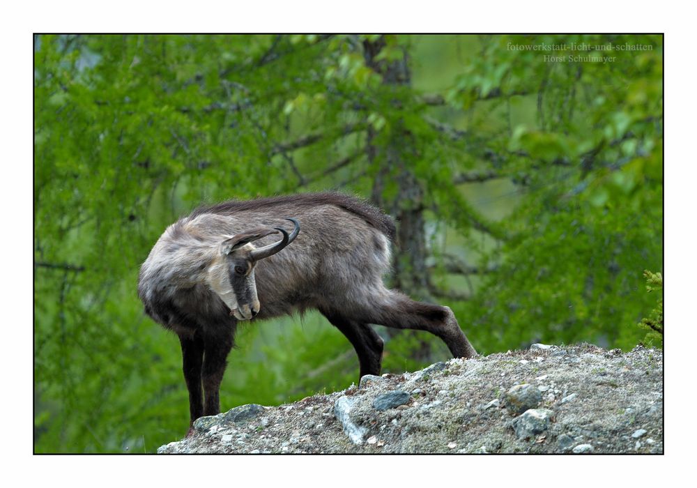 Ein kurzer Blick zurück