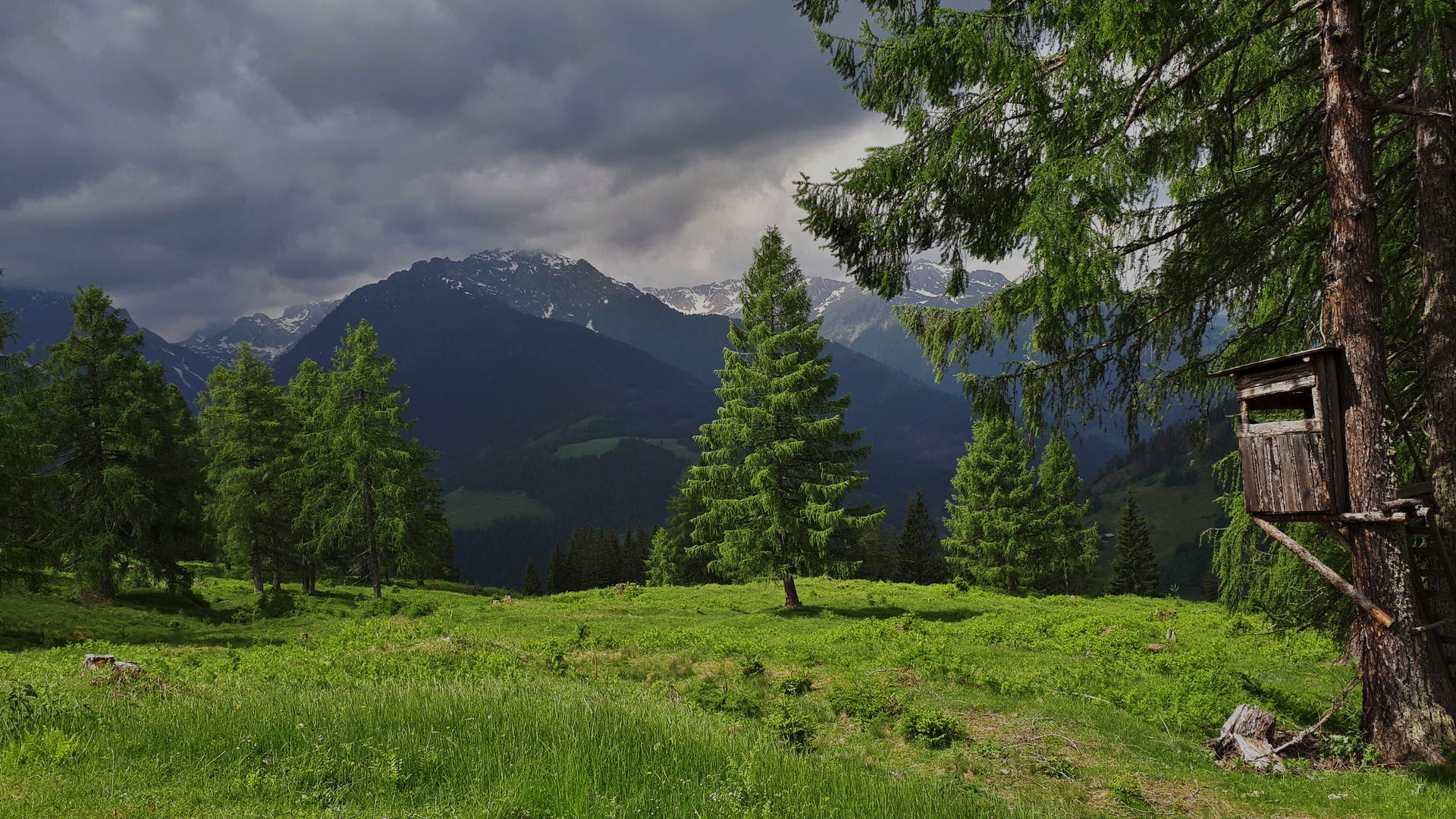 Ein kurzer Lichblick...