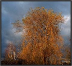 Ein kurzer Lichtblick