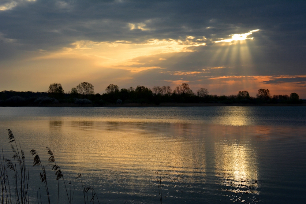 ein kurzer   >LICHTBLICK