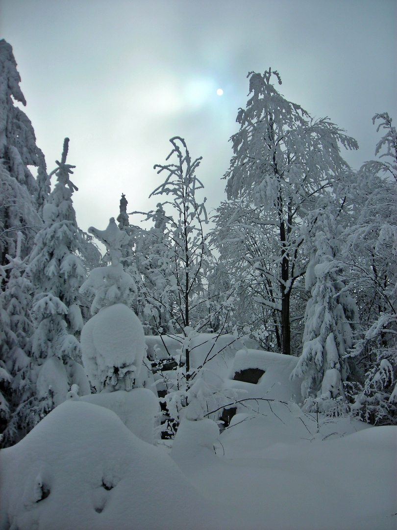 Ein kurzer Lichtblick im Steinwald...