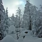 Ein kurzer Lichtblick im Steinwald...