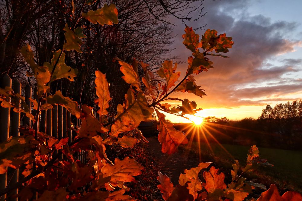 Ein kurzer Lichtmoment...