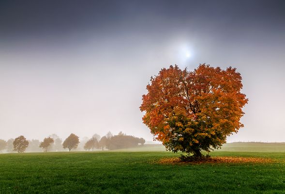 ein kurzer moment sonne