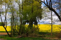 Ein kurzer Seitenblick