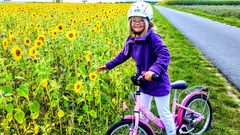 Ein kurzer Stop am Sonnenblumenmeer