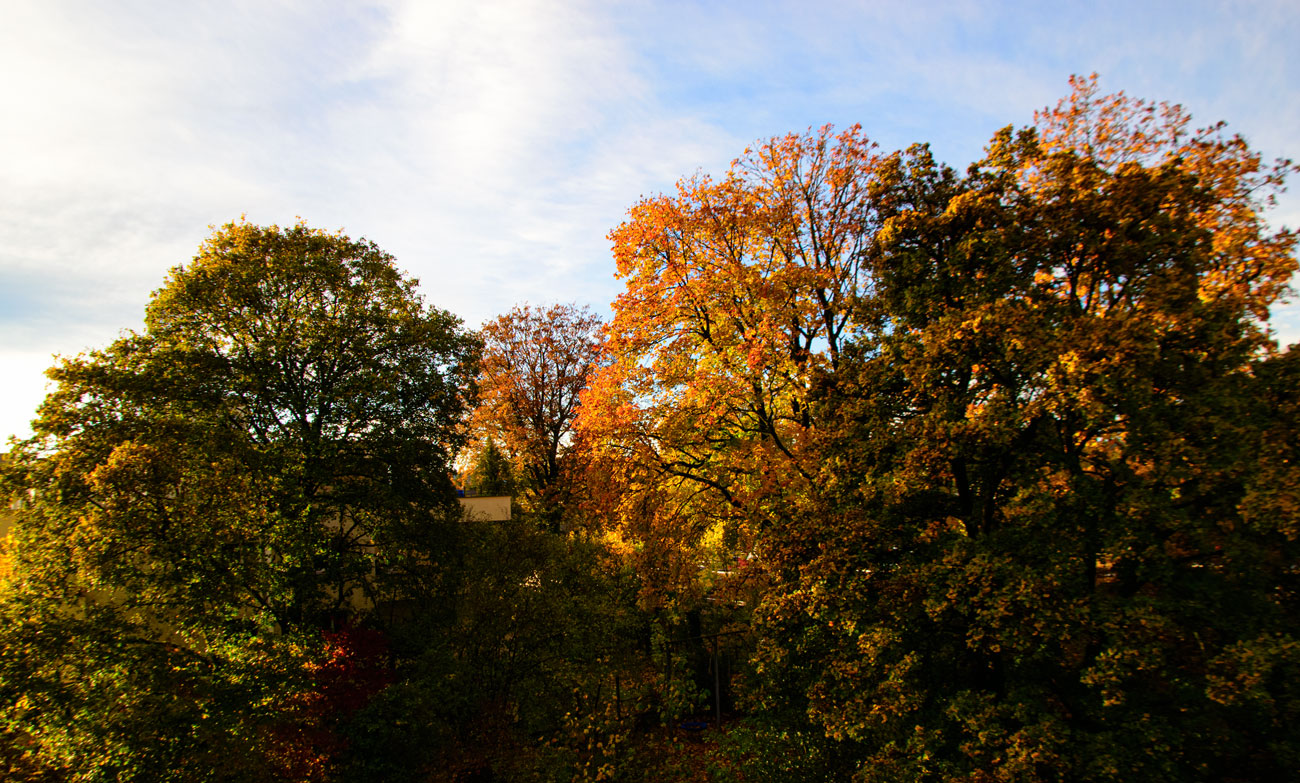 Ein kurzes Sonnenfenster bevor der Regen kam