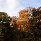 Ein kurzes Sonnenfenster bevor der Regen kam