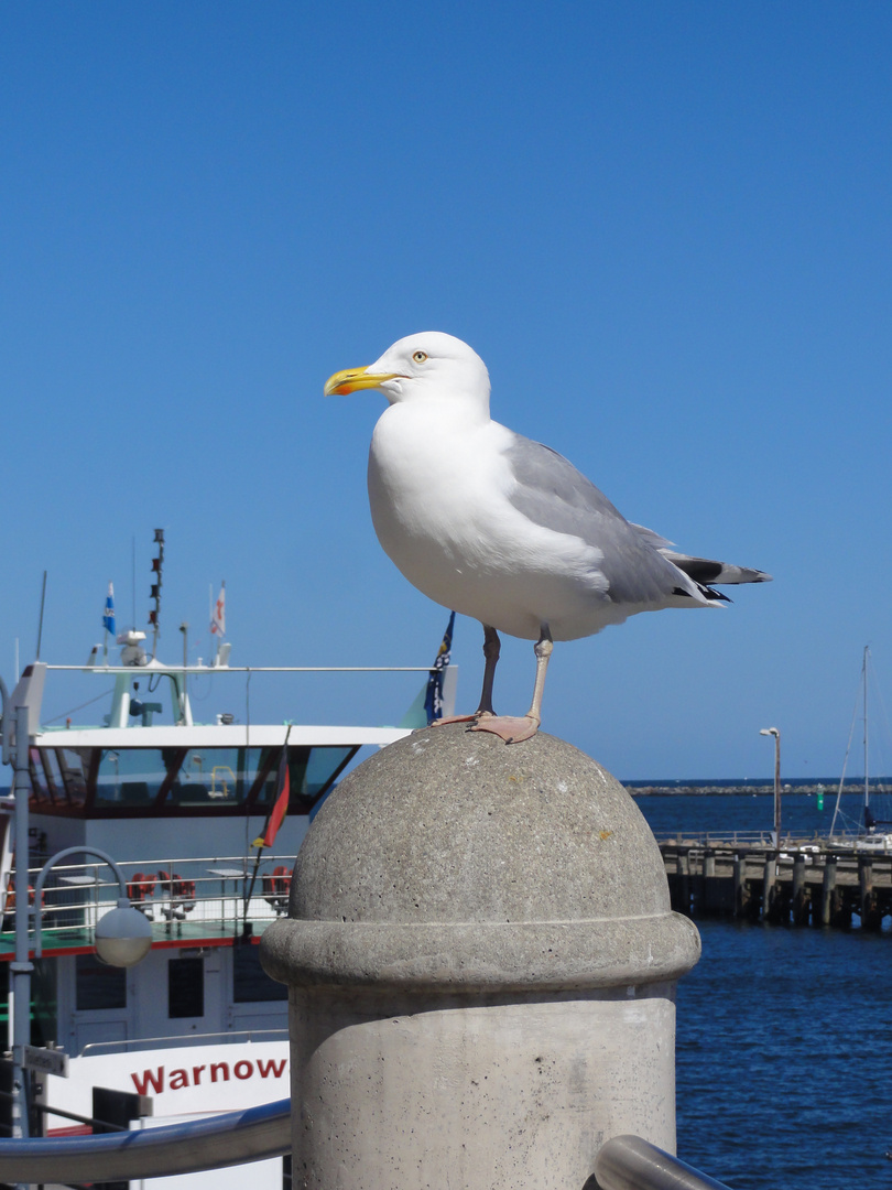 Ein kurzurlaub an der Ostsee