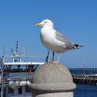 Ein kurzurlaub an der Ostsee