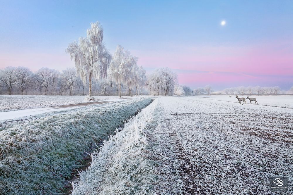 Ein kurzweiliges Wintermärchen