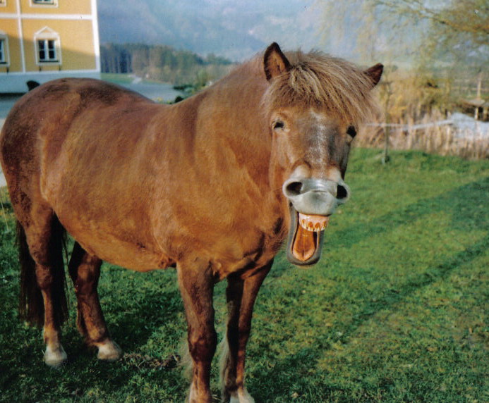 Ein Lachen oder ein gähnen ???