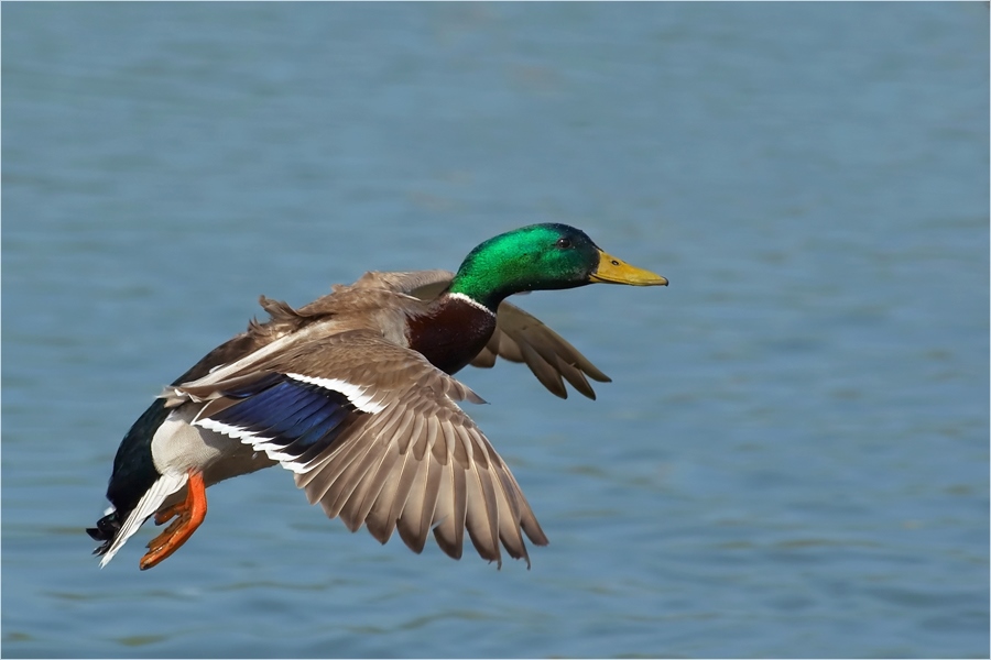 Ein Lächeln im Vorbeiflug