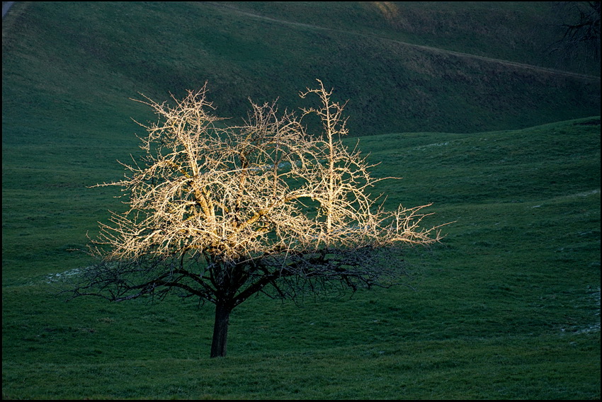 ein Land-Spaziergang