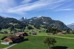 Ein Landschaftsbild vom fahrenden Zug aufgenommen.