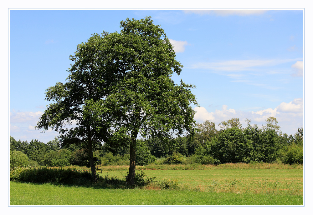 Ein Landsitz