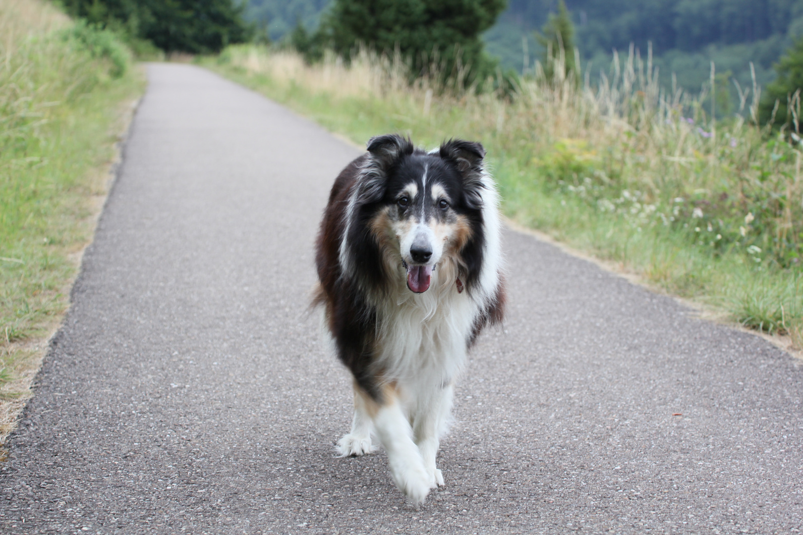 Ein langer gemeinsamer Weg