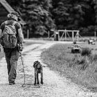 Ein langer gemeinsamer Weg