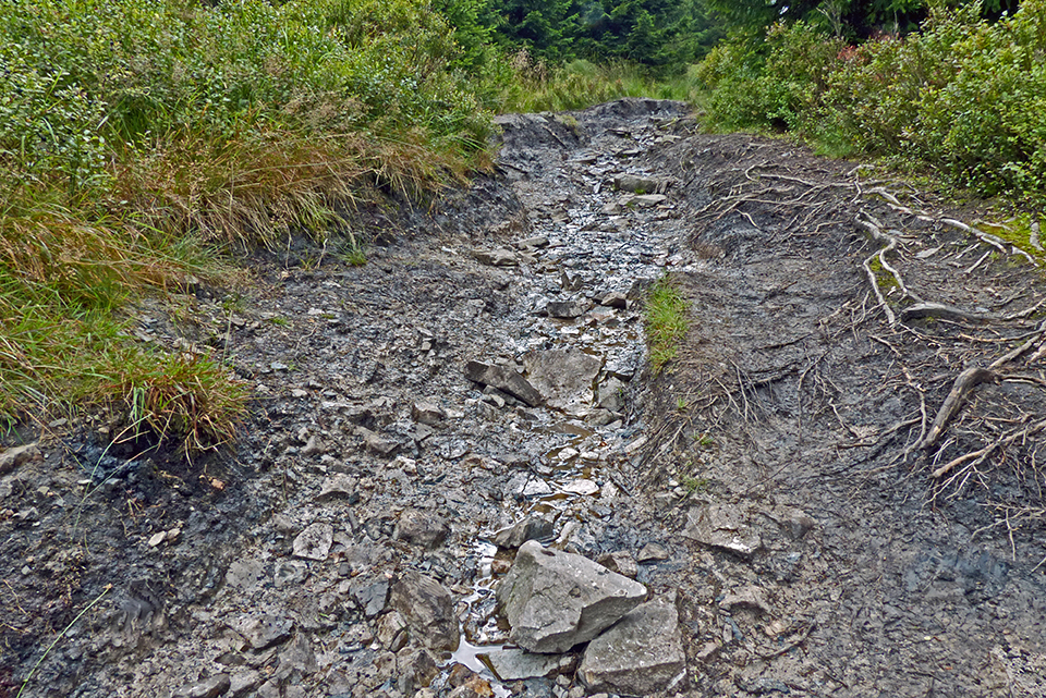 ein langer steiniger nasser weg