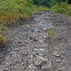 ein langer steiniger nasser weg