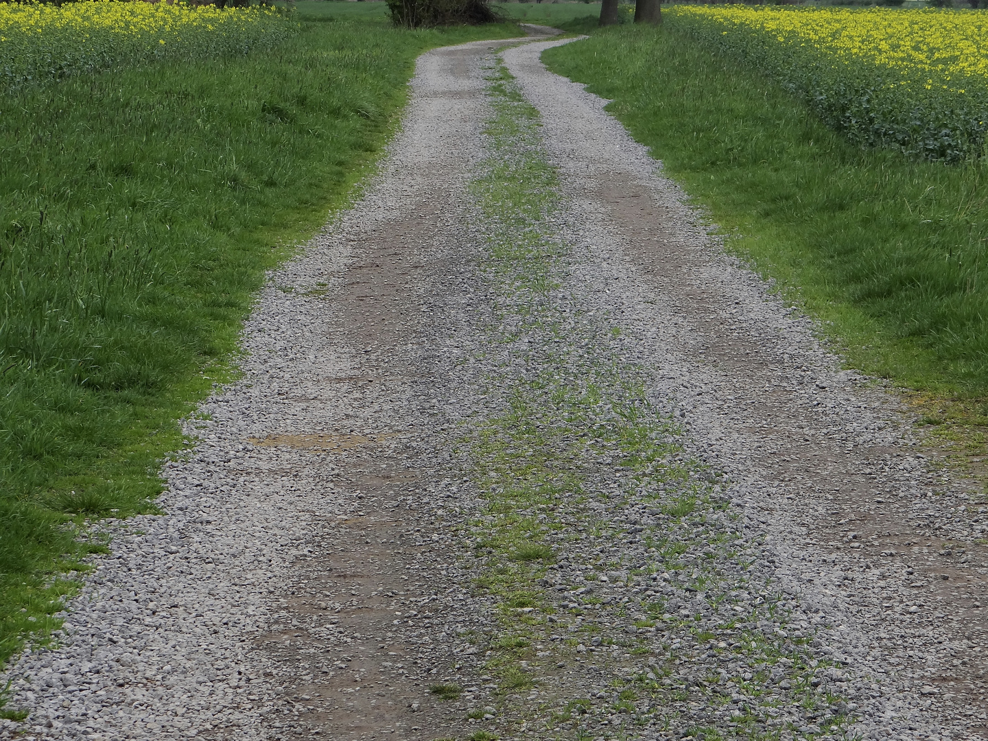 Ein langer und steiniger Weg