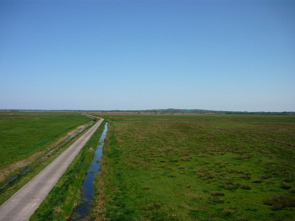 Ein langer Weg