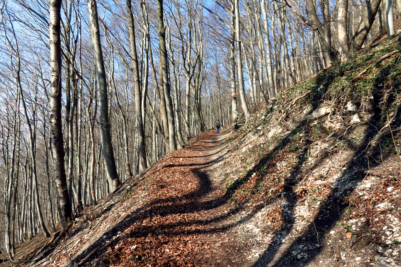 ein langer Weg