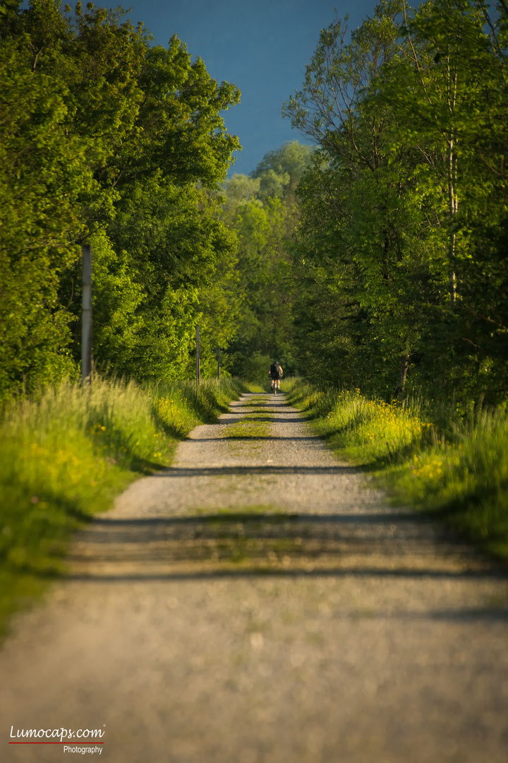 Ein langer Weg