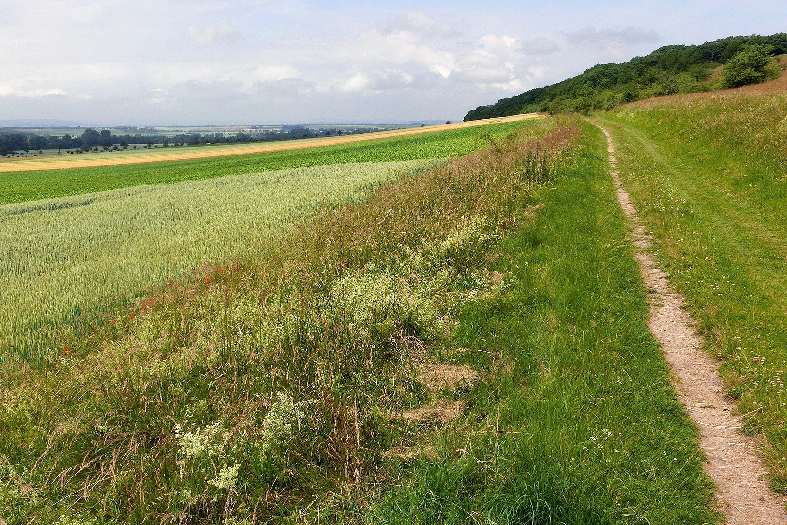 Ein langer Weg