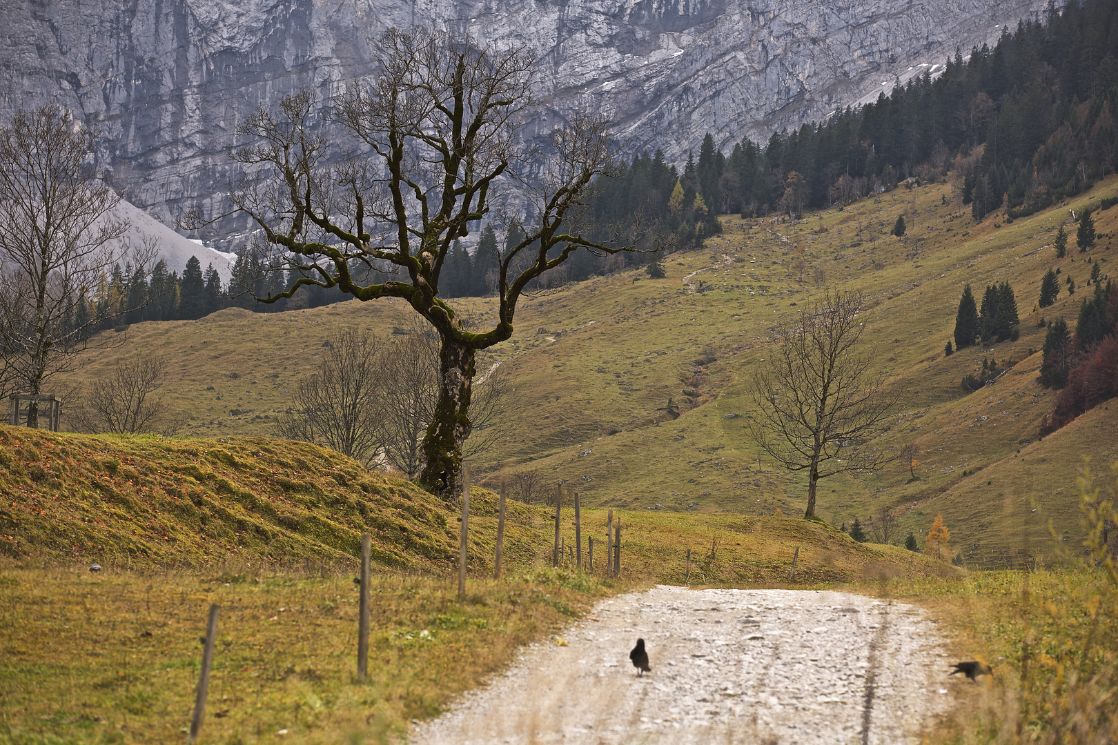 Ein langer Weg....