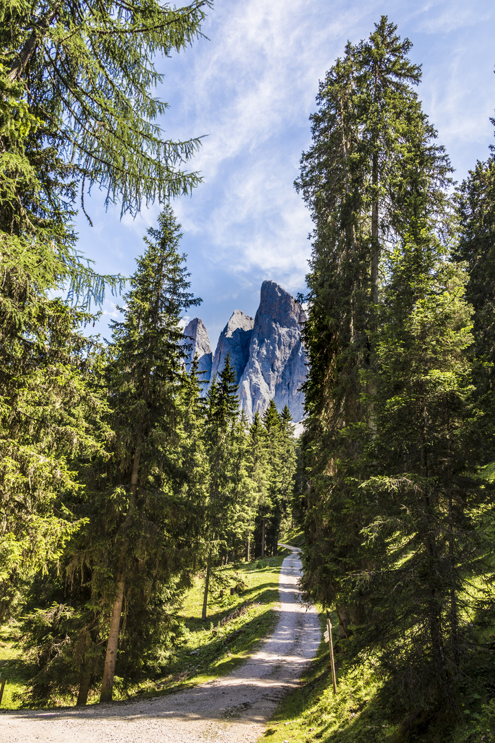 Ein langer Weg zum Gipfel