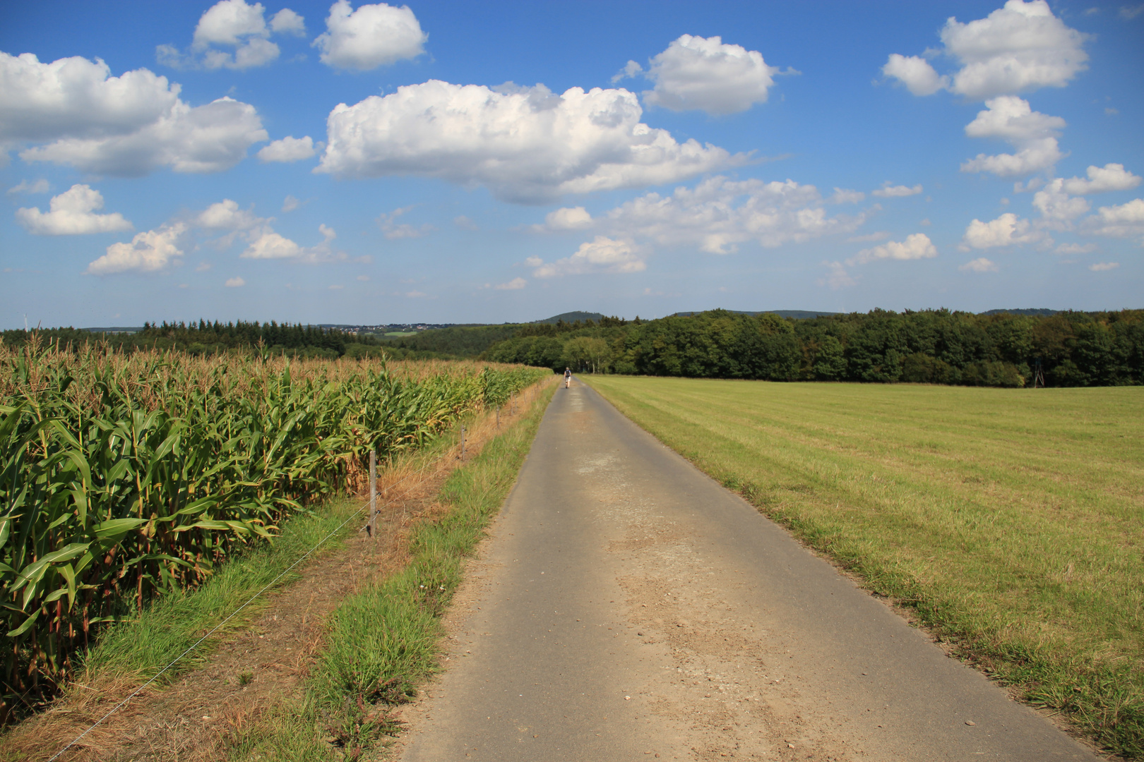 Ein langer Weg zum Horizont...