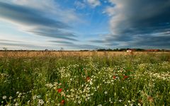 Ein lauer Sommerabend